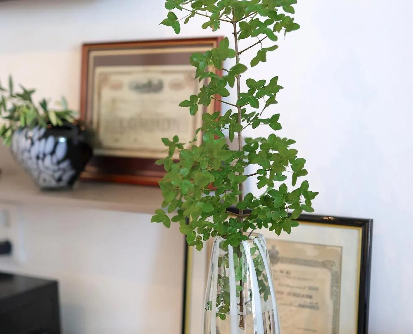 Apartment Villa Suzi Opatija